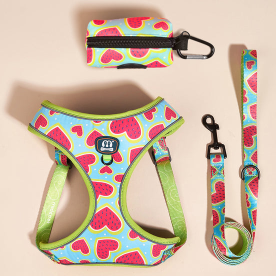 Adjustable Pet Chest Harness Leash Set