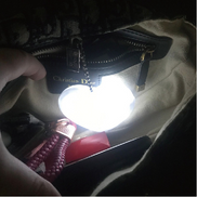 Heart Purse Light