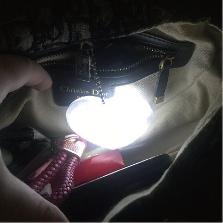 Heart Purse Light