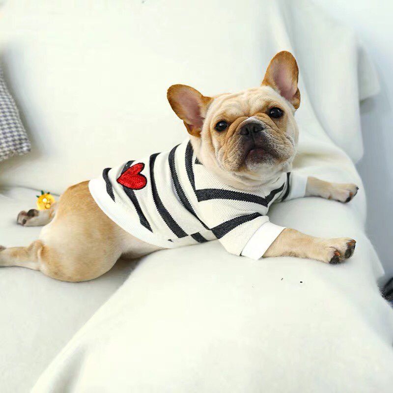 Striped Heart Sweater for Dogs - Spring/Summer Wear