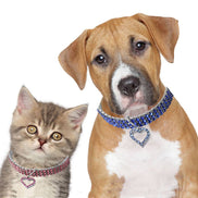 Heart-Shaped Rhinestone Pet Collar for Small Dogs & Cats