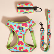 Adjustable Pet Chest Harness Leash Set