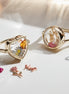 Stainless Steel Box Ring Accessories