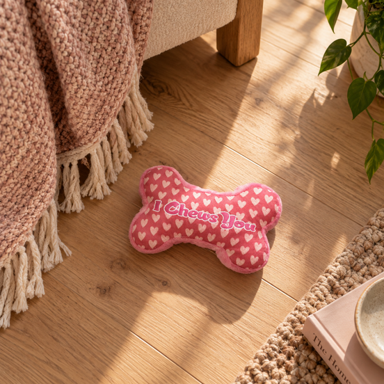 Little Sweetheart Pet Tee