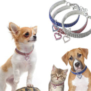 Heart-Shaped Sparkling Pet Necklace for Your Friend