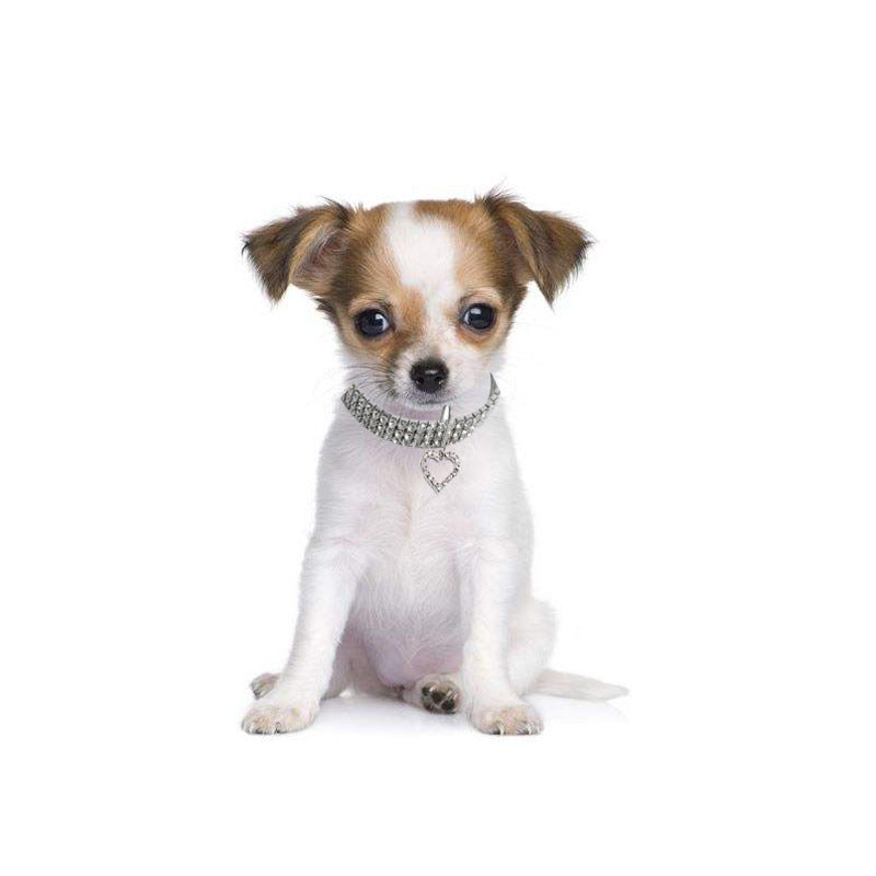 Heart-Shaped Rhinestone Pet Collar for Small Dogs & Cats