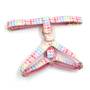 Colorful Heart Dog Harness with Gold Buckle