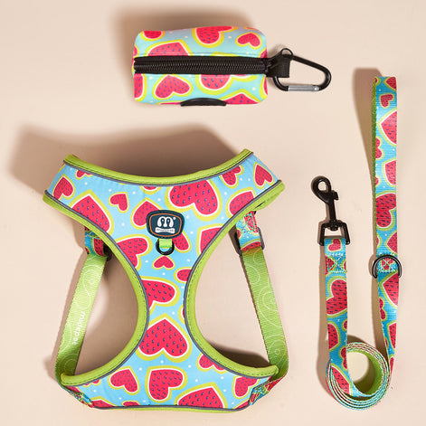 Adjustable Pet Chest Harness Leash Set