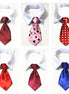 Wholesale Pet Supplies: Cat & Dog Collars and Ties