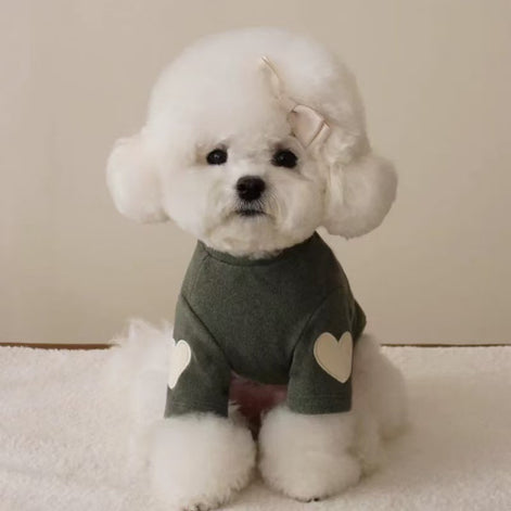 Heart Pattern Pet Hoodie