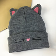 Embroidered Cat Ear Knitted Winter Hat